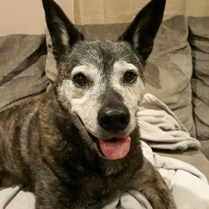 Meet your Posher, Dana